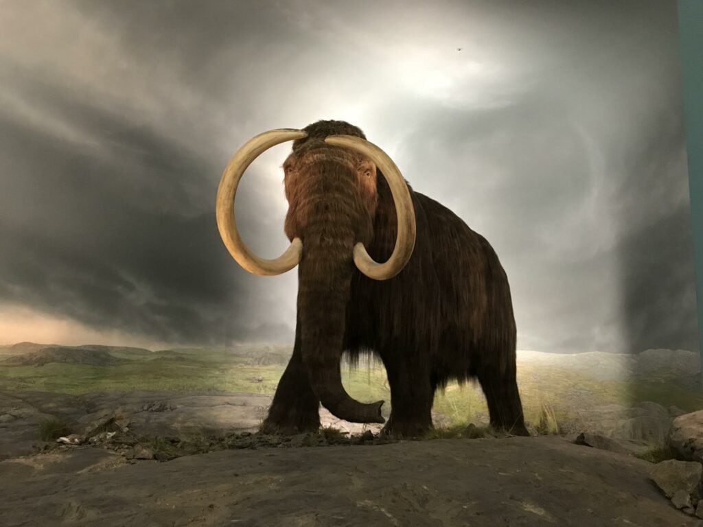 Royal BC Museum - Indoor Kids Activities Victoria