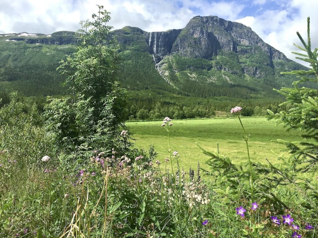 Roadside Scenery on the Oslo to Bergen drive.