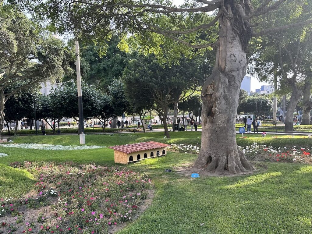 Cats Houses in Parque Kennedy, Lima