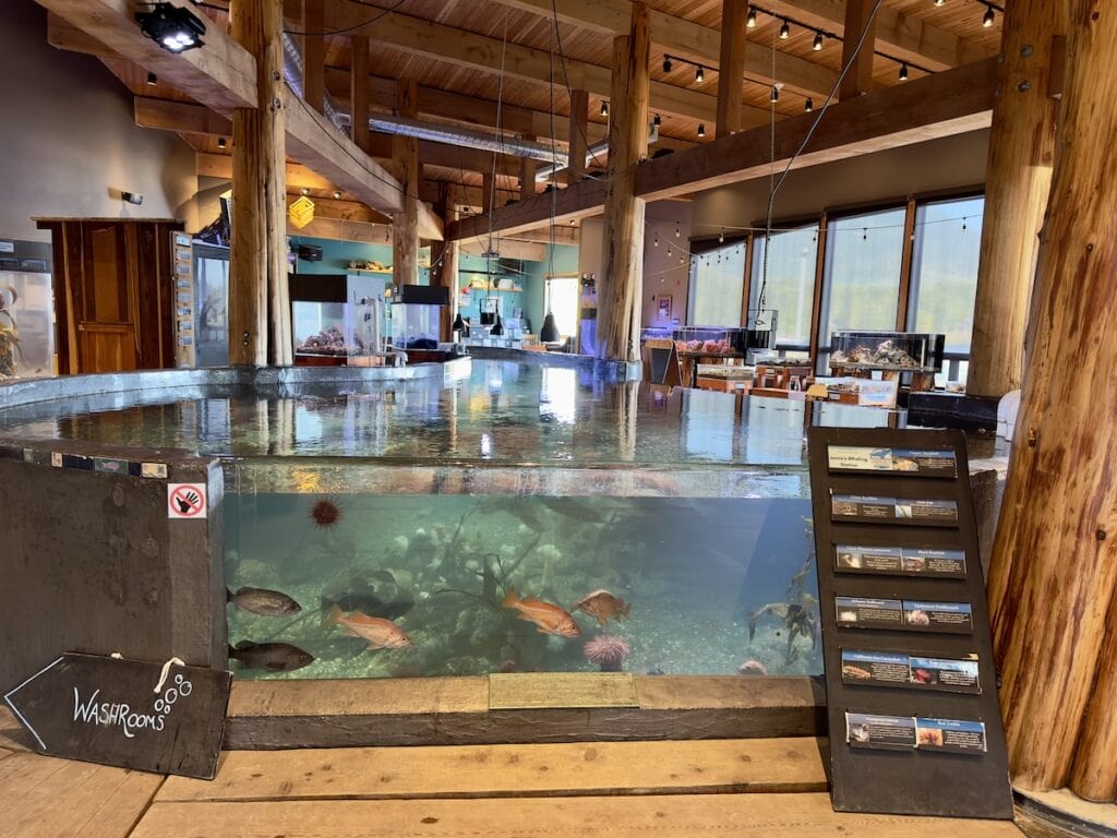 The Ucluelet Aquarium