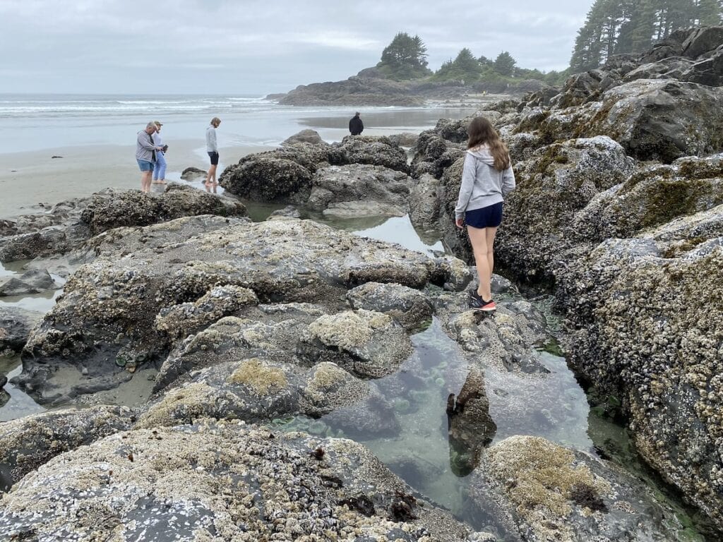 Girl looking into tide pools in Tofino, BC