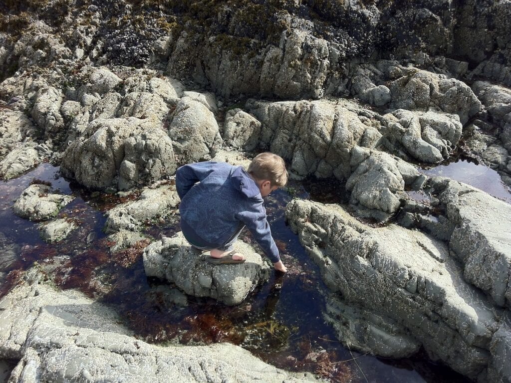 North Chesterman Beach Tide Pools