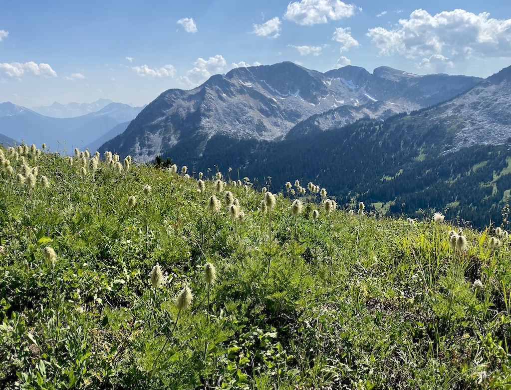 Whitecap Alpine Lodge, B.C.