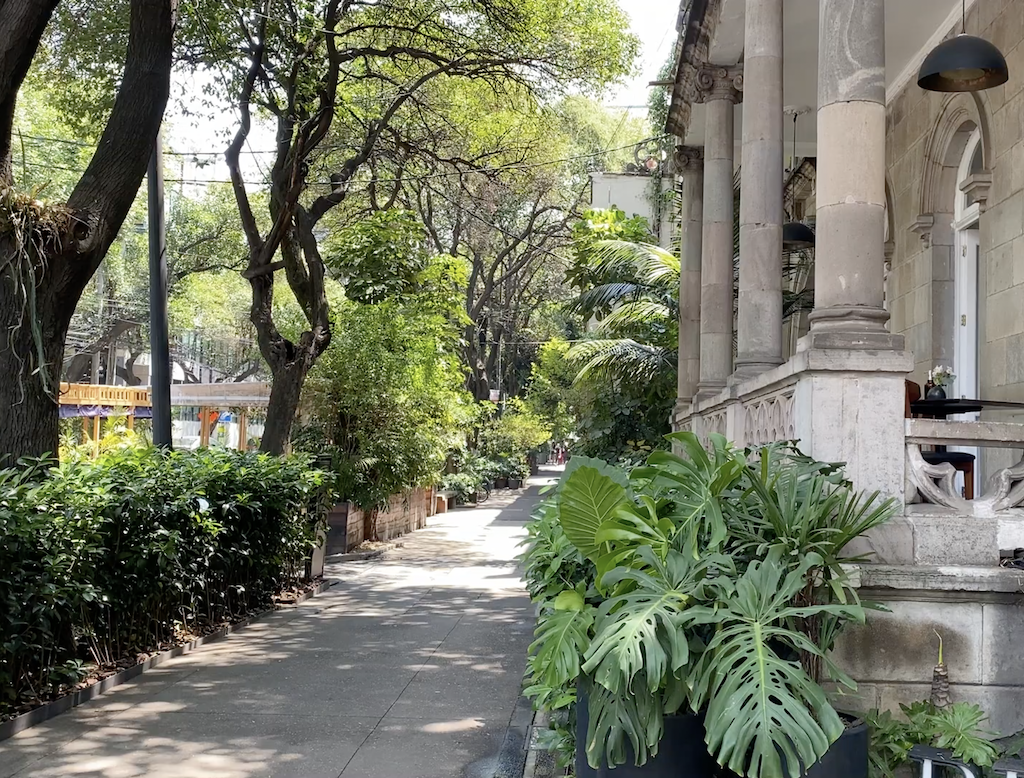 9 Amazing Things to Do in Polanco, Mexico City