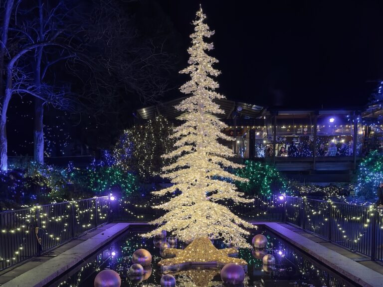 Christmas Events Vancouver (Vandusen Gardens)