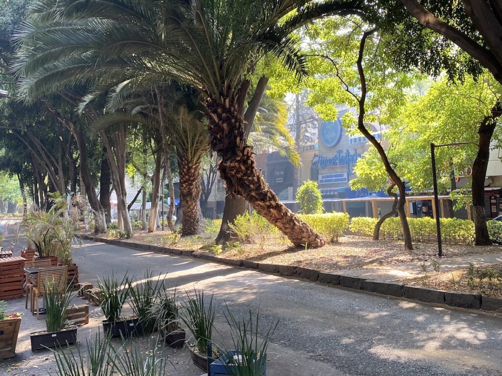 La Condesa, Mexico City