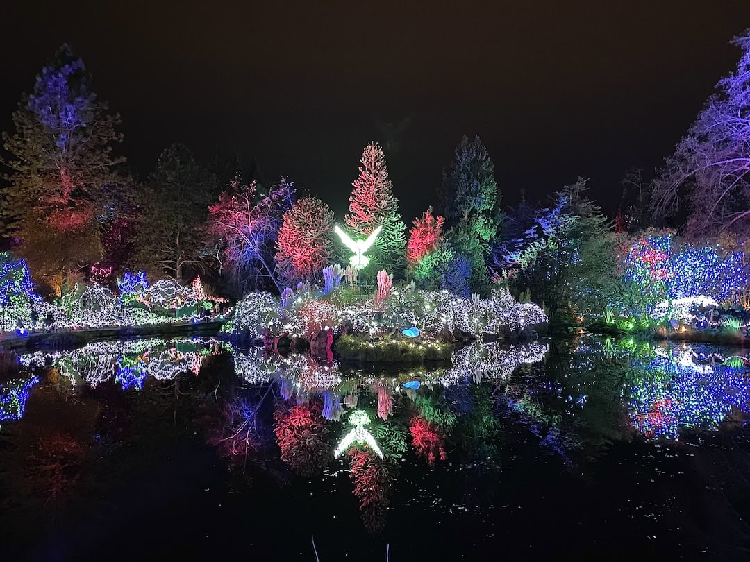 Vandusen Festival of Lights