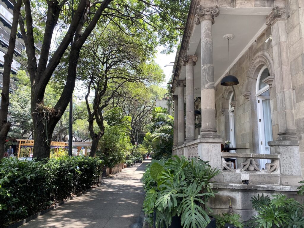 The 15 Best Boutique Hotels in Mexico City – 2023 Guide