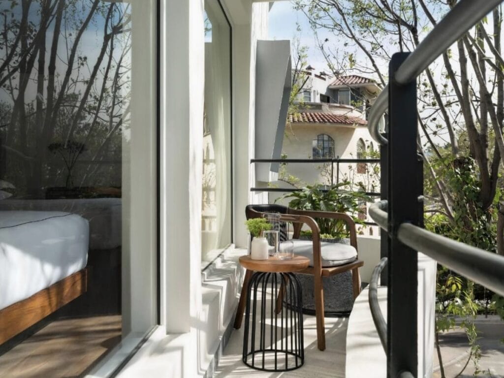 Virgilio Kimpton Mexico City