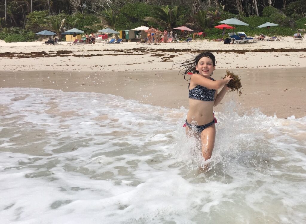 Sargassum Barbados