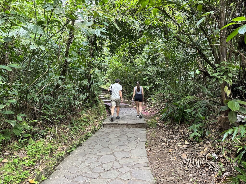 Carbet Falls Guadeloupe