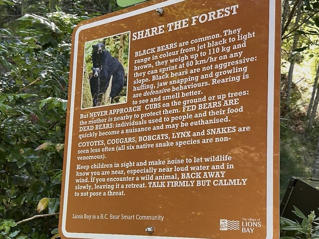 Sign warning of Bears near Lions Bay.