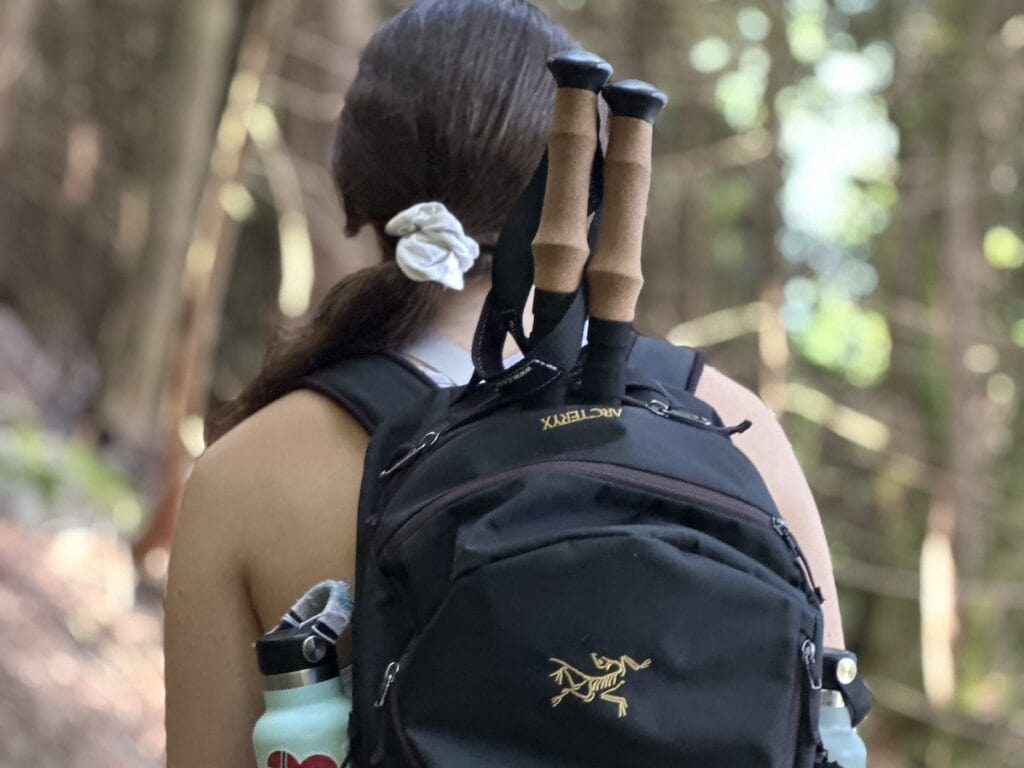Back of a Hiker
