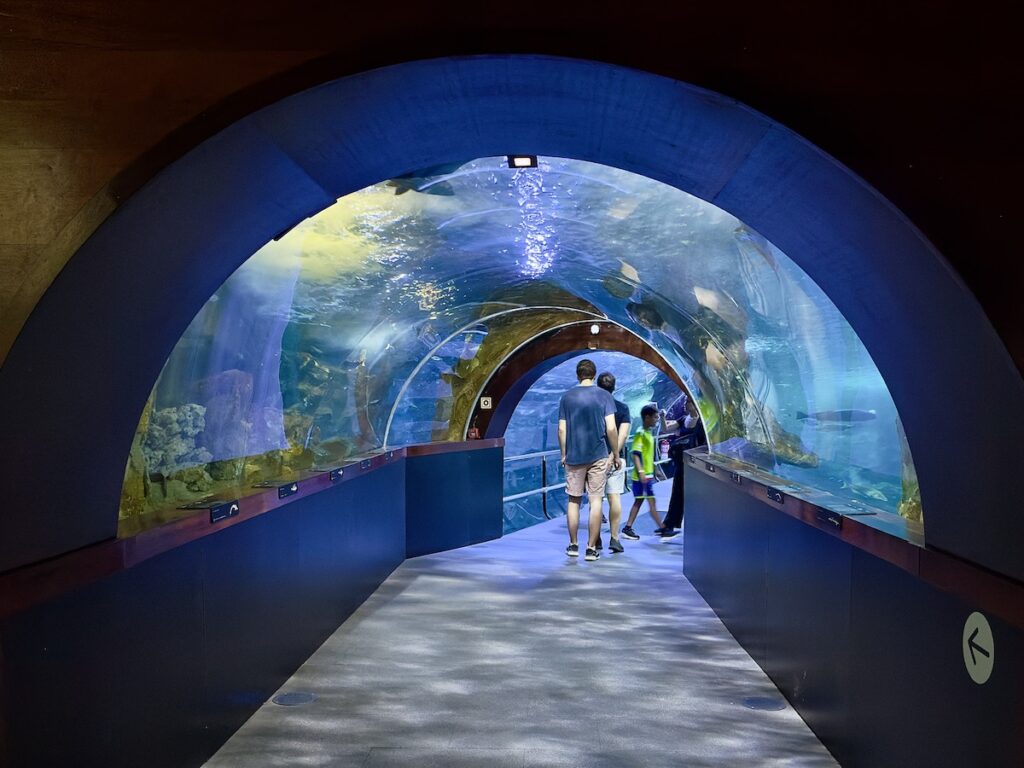 San Sebastian Aquarium