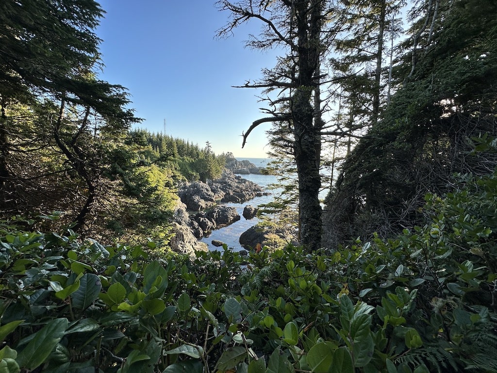 Top Things to do in Ucluelet