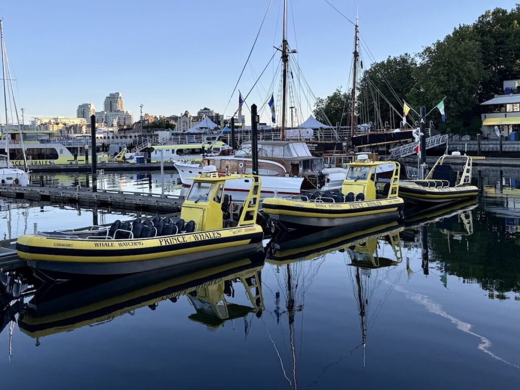 Whale watching boats docked in Victoria Harbour, one of the most popular family activities in Victoria, British Columbia.