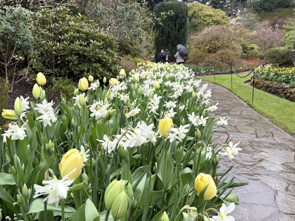 Butchart Gardens in Victoria BC, one of the best things to do with kids