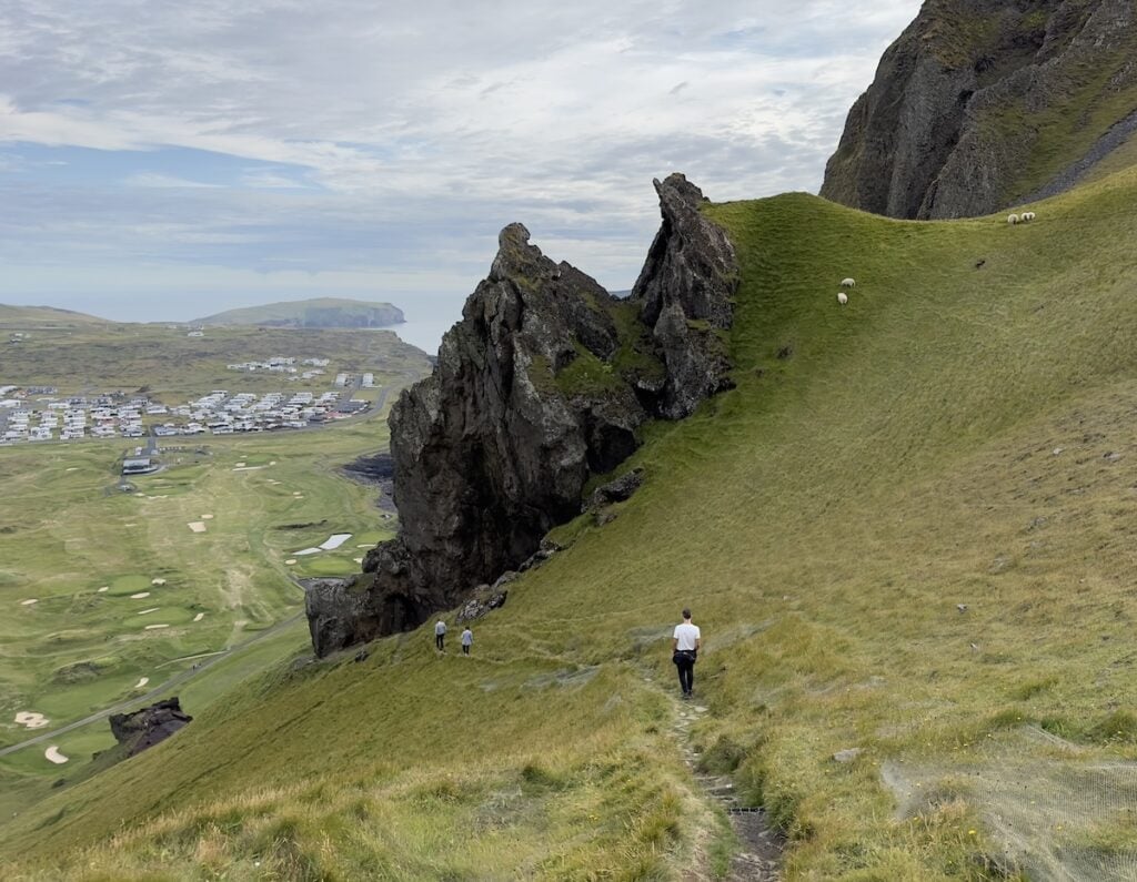 Clifftop Hike on Heimay Island with sheep and ocean in background