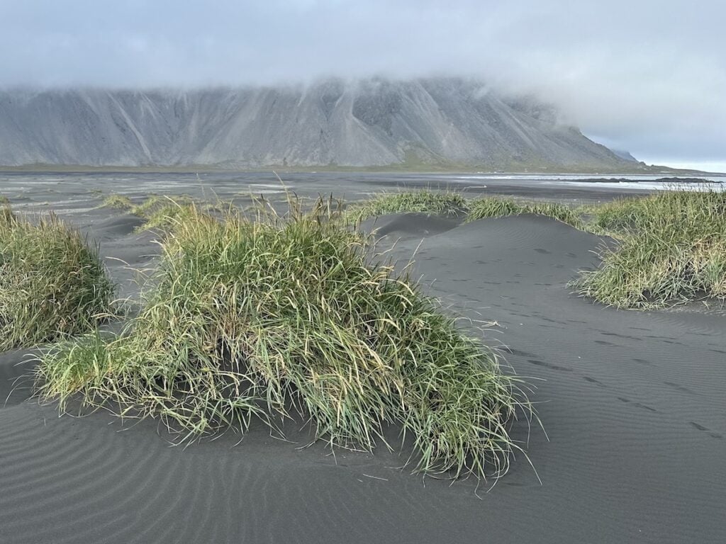 Stokksnes Black Sand Beach in Iceland