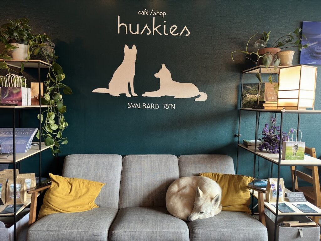 Cafe Huskies in Svalbard,  Norway.