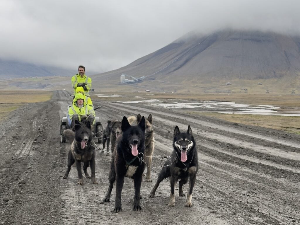 Dog Sledding in Svalbard