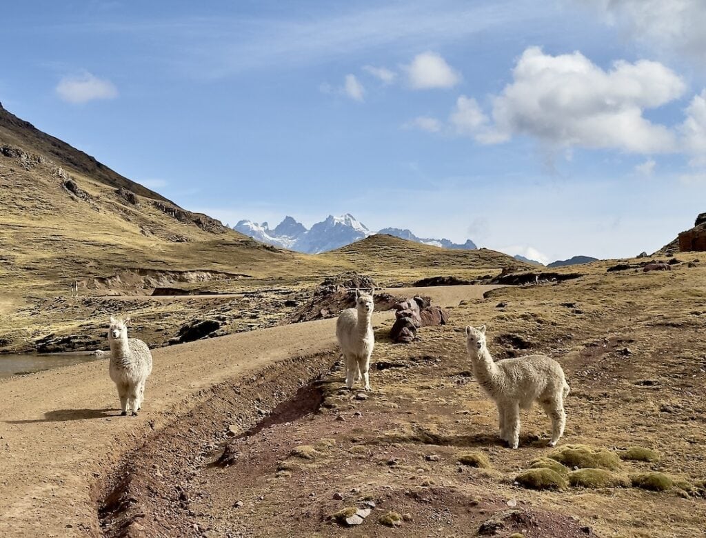 Mountain Lodge of Peru