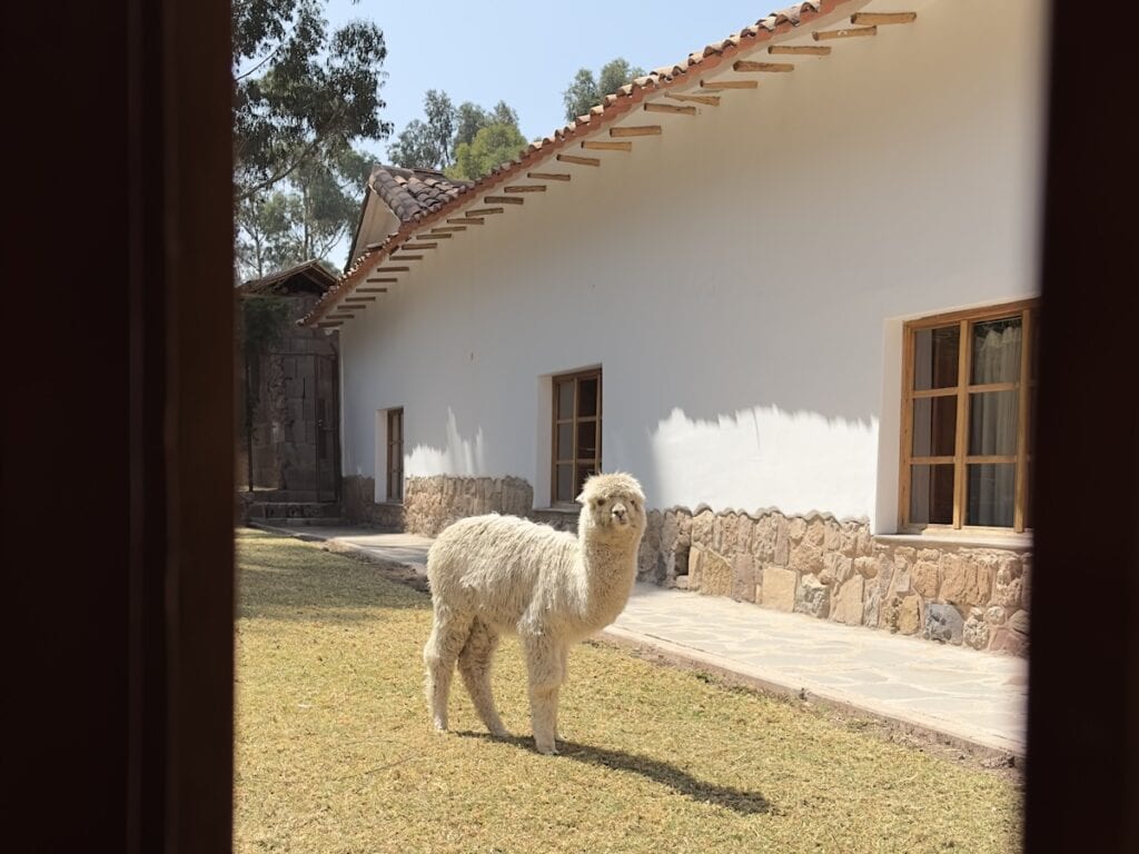 Palacio Manco Capac Cusco