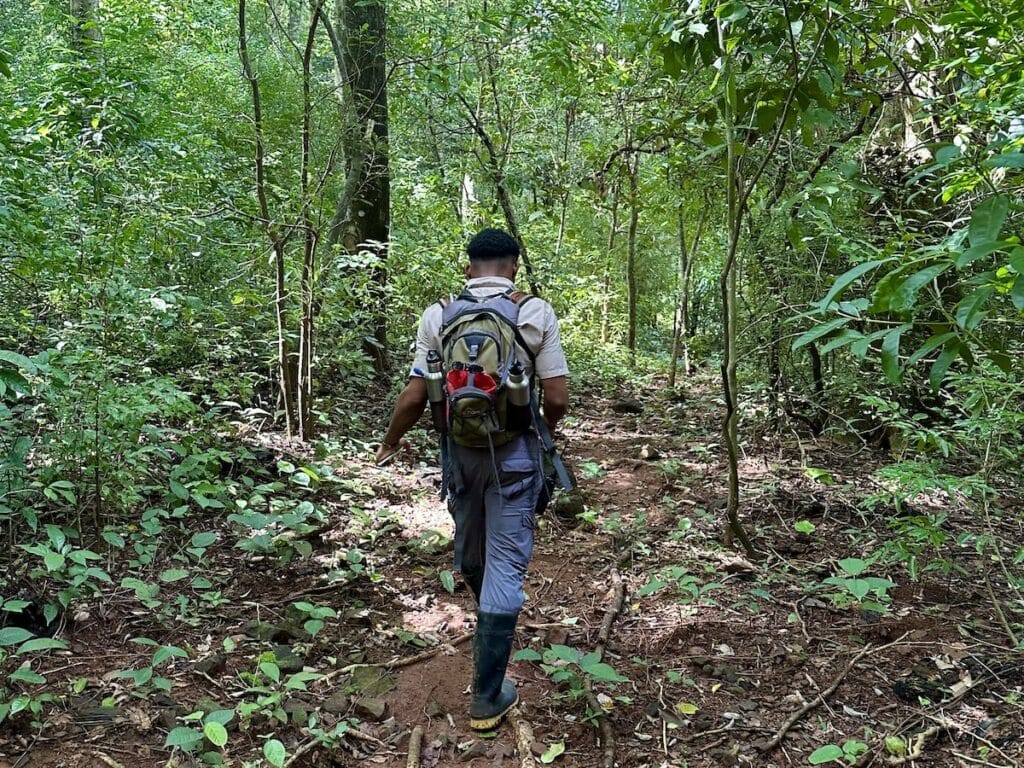 Activities at Isla Palenque