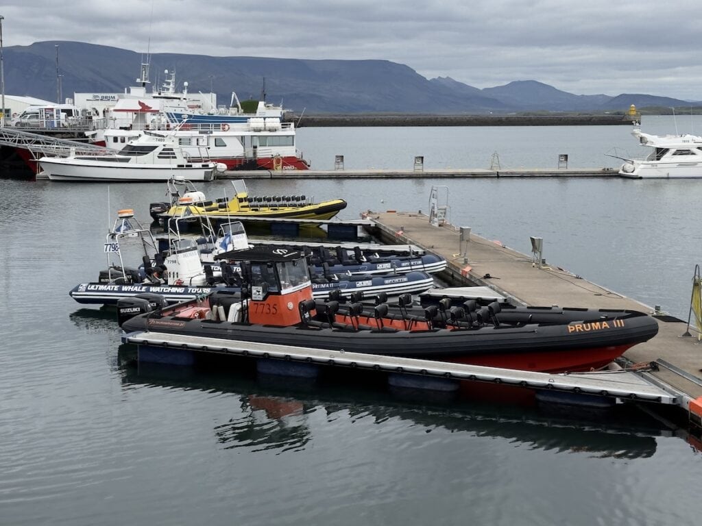 Whale watching boats in Reykjavík harbour