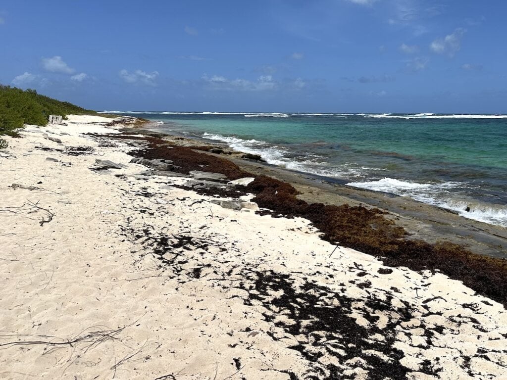 Anse Feuillard Marie Galante
