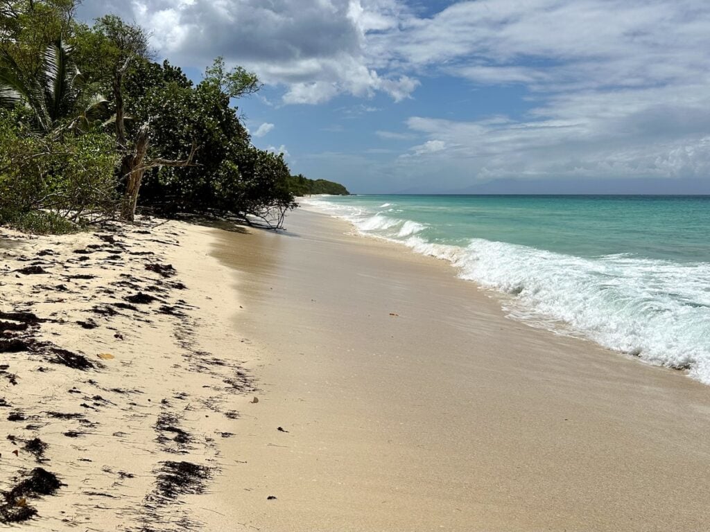 Anse Moustique