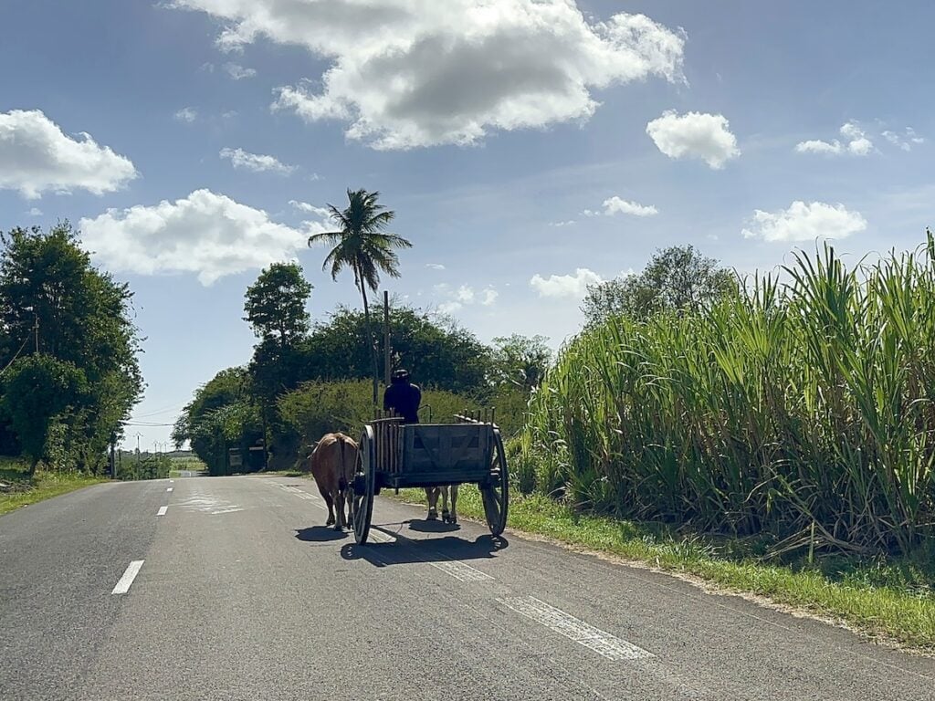 Driving Around Marie Galante