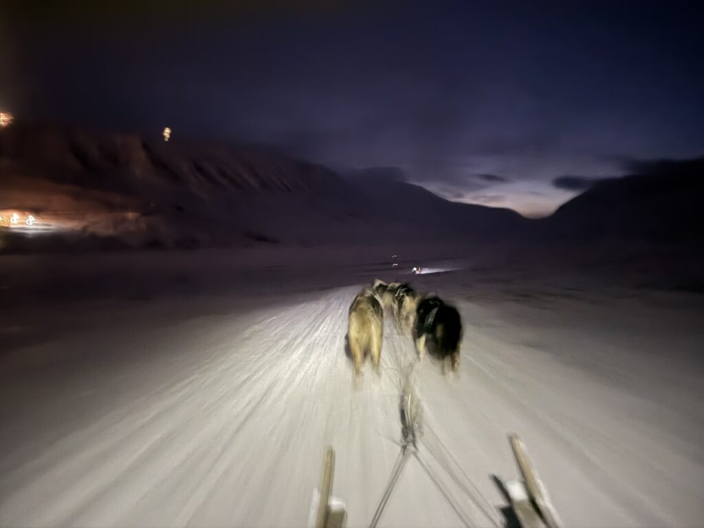 Dog Sledding in Polar Night Svalbard