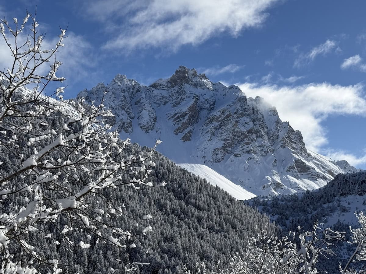 Meribel-Mottaret Mountain and Tree View