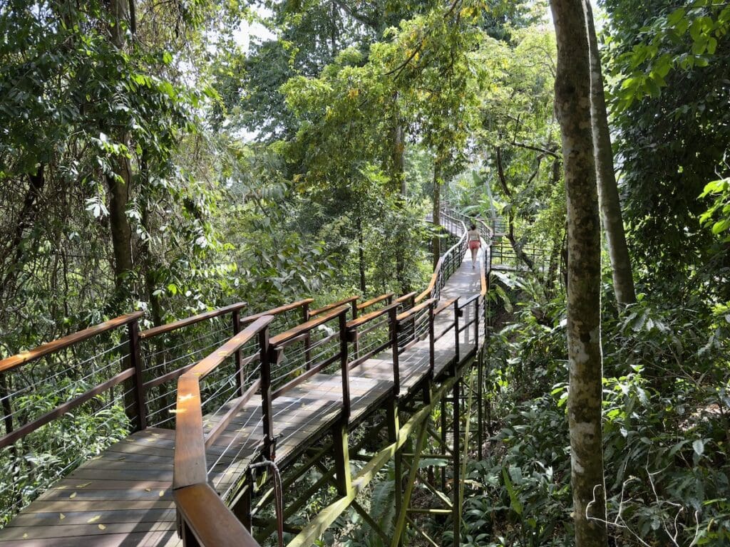 Elevated Walkway Lapa Rios 