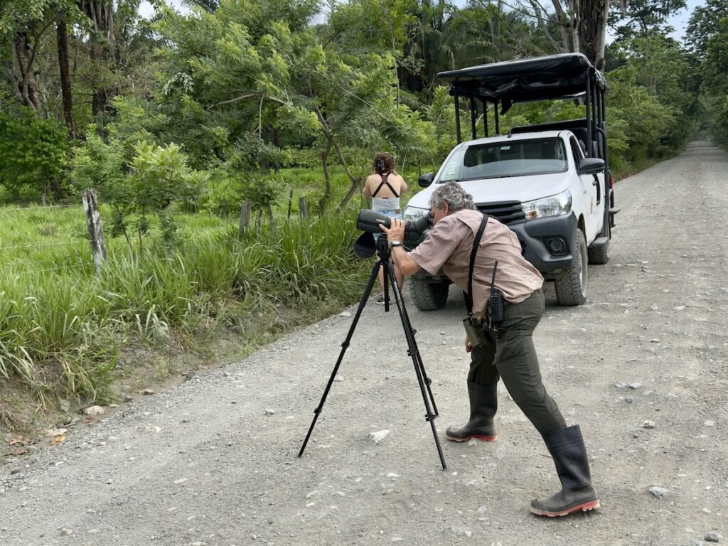 Looking for birds at Lapa Rios Resort