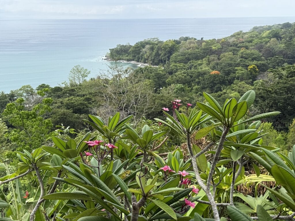 View from Lapa Rios Lodge Costa Rica