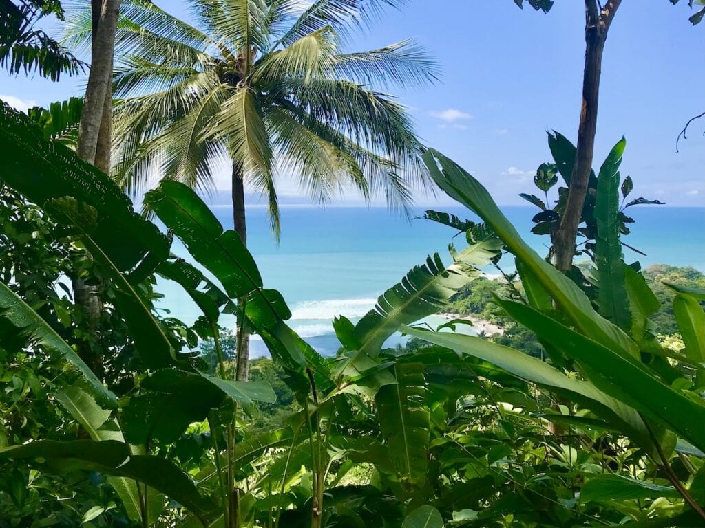 Rainforest view from Lapa Rios Luxury Eco Lodge in Costa Rica